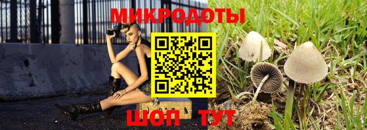 Балабаново  купить наркотик  Вход с VPN  Галлюциногенные грибы MAGIC MUSHROOMS 